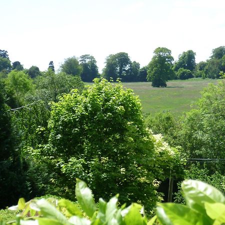 Diamond Hill Country House Bed and Breakfast Waterford Exterior foto