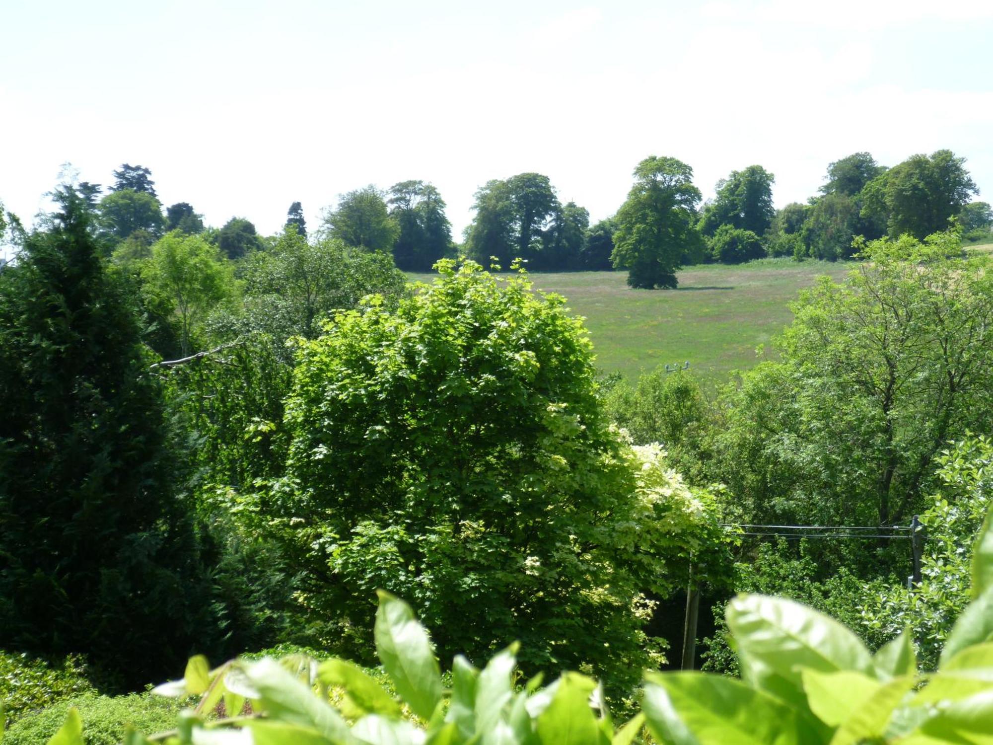 Diamond Hill Country House Bed and Breakfast Waterford Exterior foto