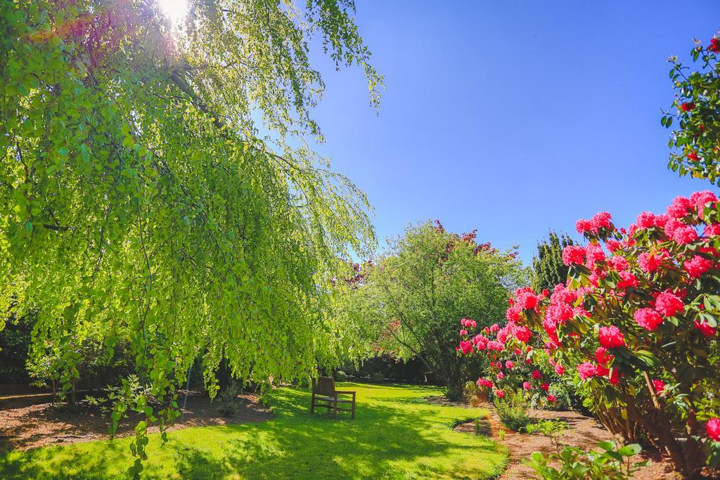 Diamond Hill Country House Bed and Breakfast Waterford Exterior foto